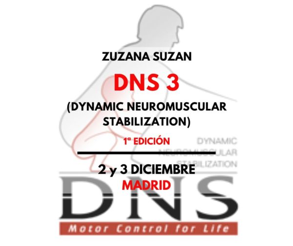 DNS3 MADRID